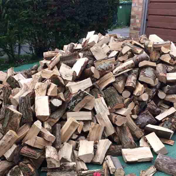 Delivery load of cut logs Cambridgeshire